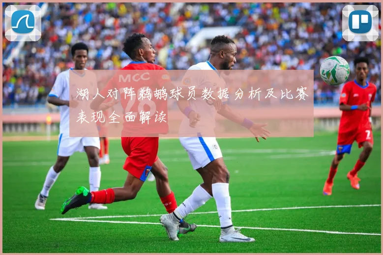 湖人对阵鹈鹕球员数据分析及比赛表现全面解读